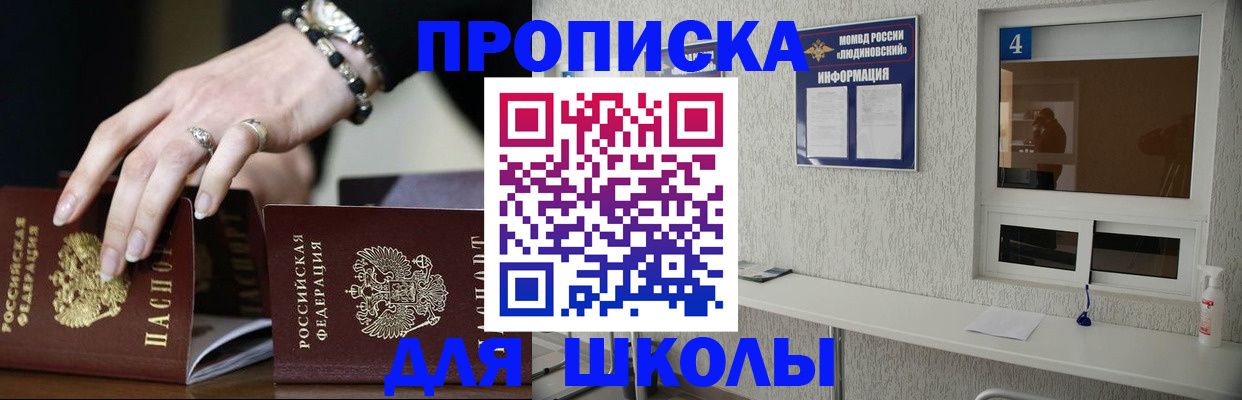 пропишу в квартире в Лесном